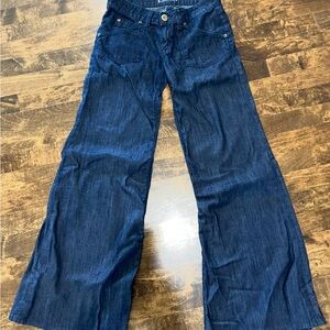 Hudson Jeans Dark Blue Flare Denim